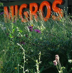 Enseigne Migros avec herbe en premier plan
